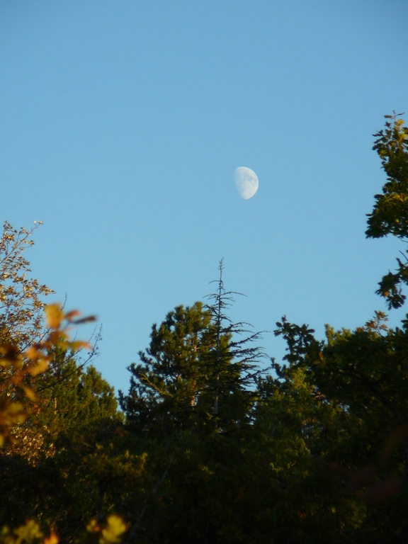 LUNE EN AUTOMNE